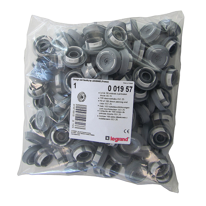 Legrand 001957 - Lot de 100 embouts à perforation directe ISO Ø25mm