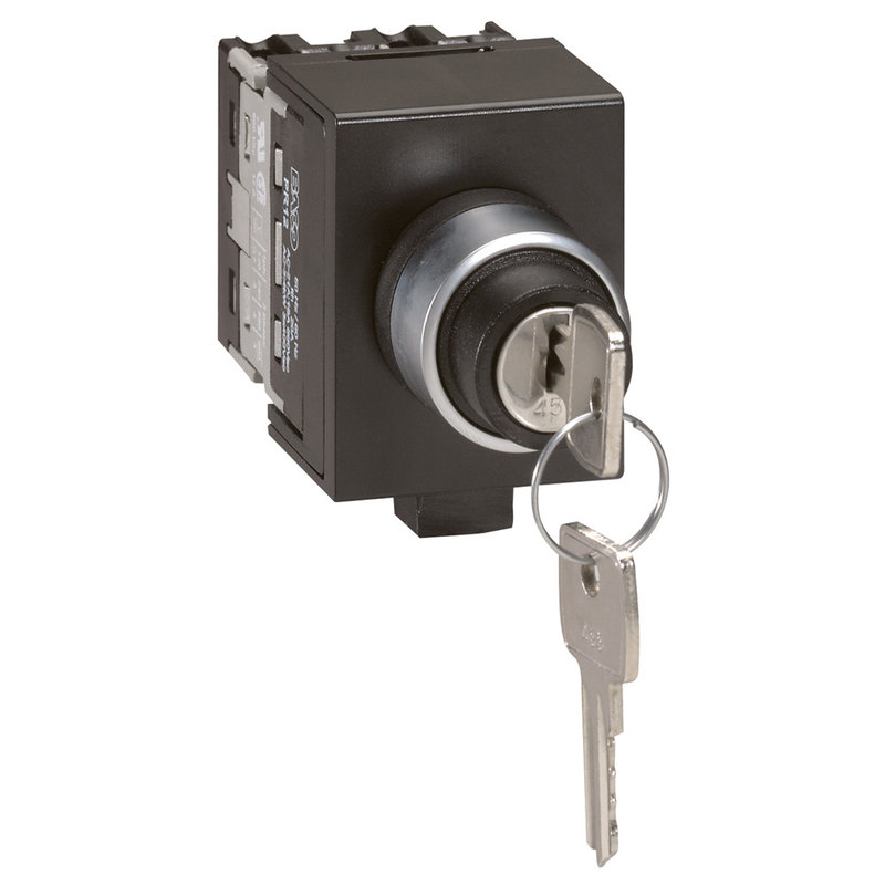 Legrand 027580 - Commutateur à cames - inverseur avec arrêt - tête de commande à clé - 2P