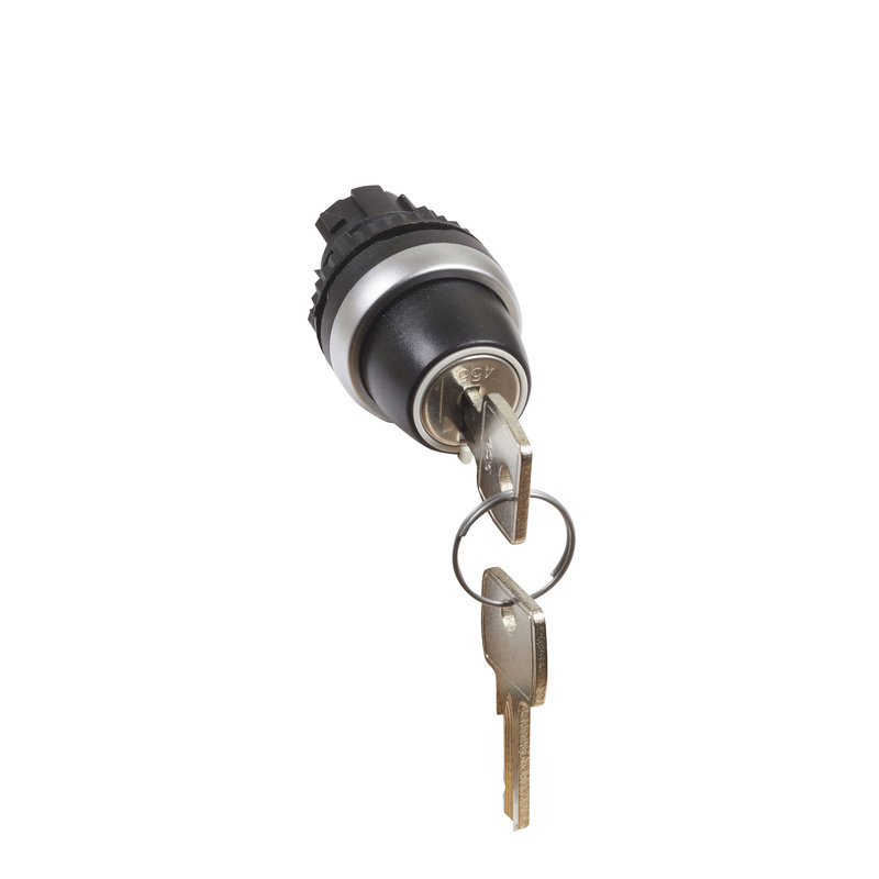 Legrand 023951 - Bouton tournant non lum à clé n°455 IP69 Osmoz compo 2 positions fixes - 45°