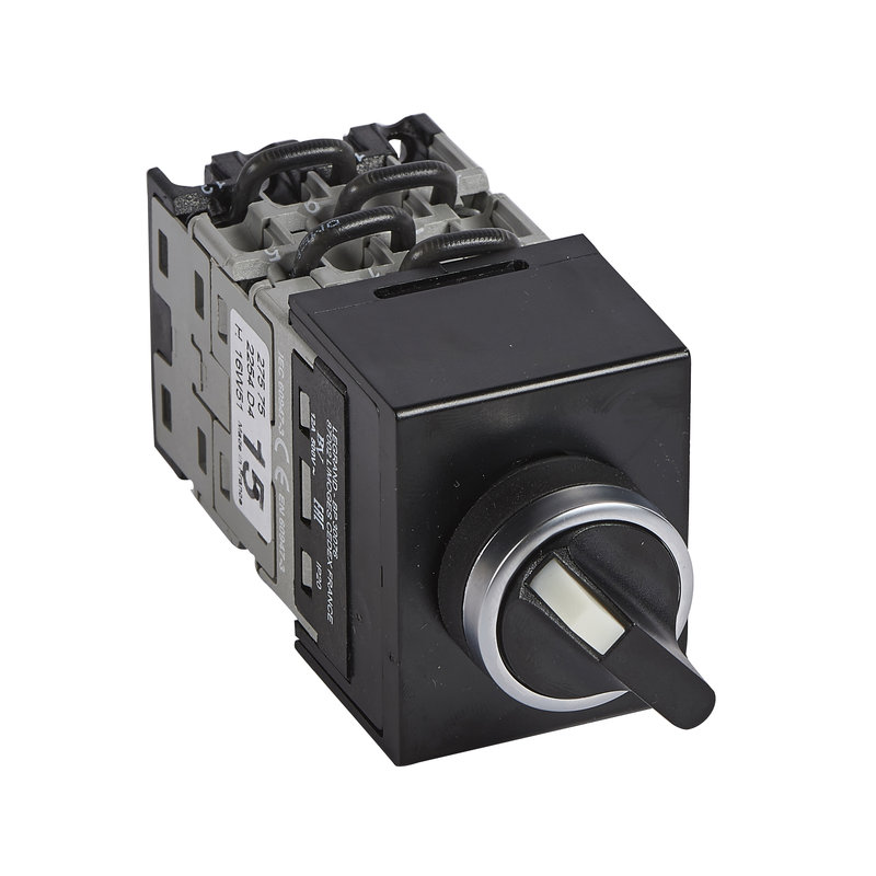 Legrand 027575 - Commutateur à cames - inverseur sans arrêt - tête de commande à manette - 4P