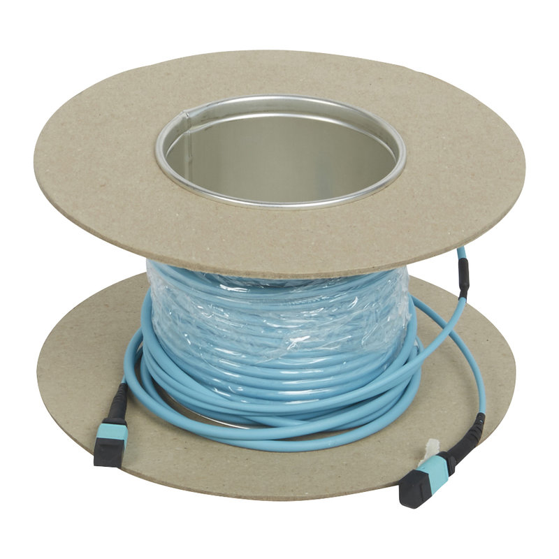 Legrand 032441 - Microcâble OM3 MTP LCS³ 12 fibres - MTP et MTP - longueur 10m