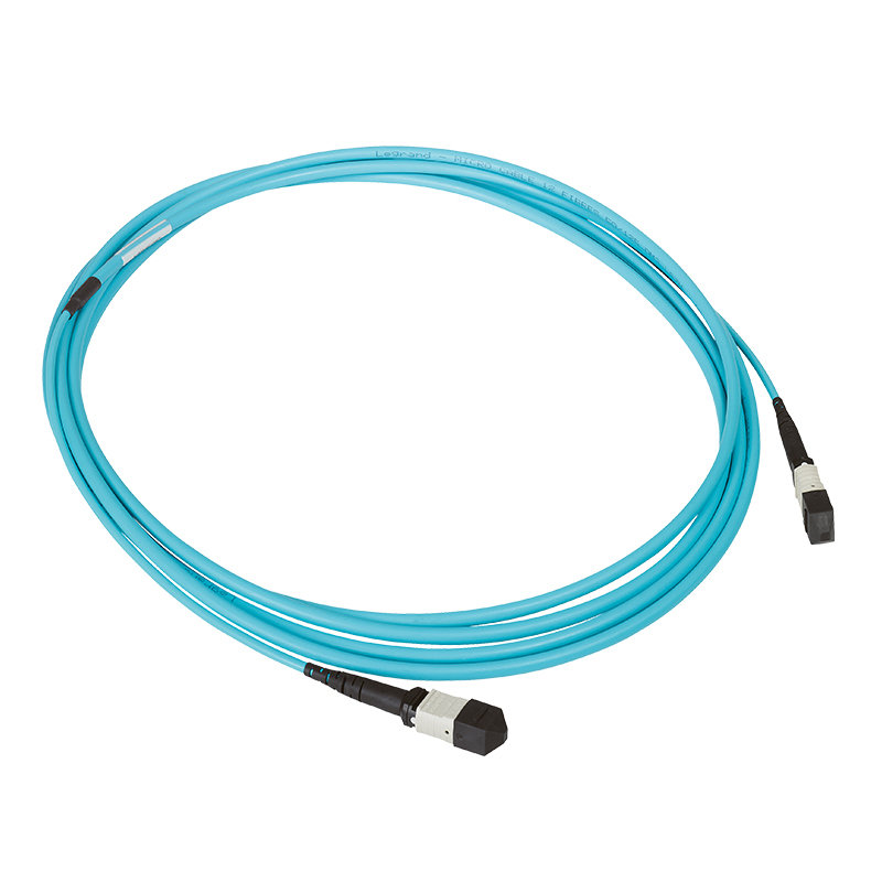 Legrand 032445 - Microcâble OM3 MTP LCS³ 12 fibres - MTP et MTP - longueur 50m