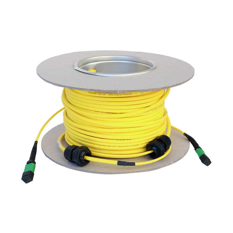 Legrand 032453 - Microcâble OS2 MTP LCS³ 12 fibres - MTP et MTP - longueur 30m