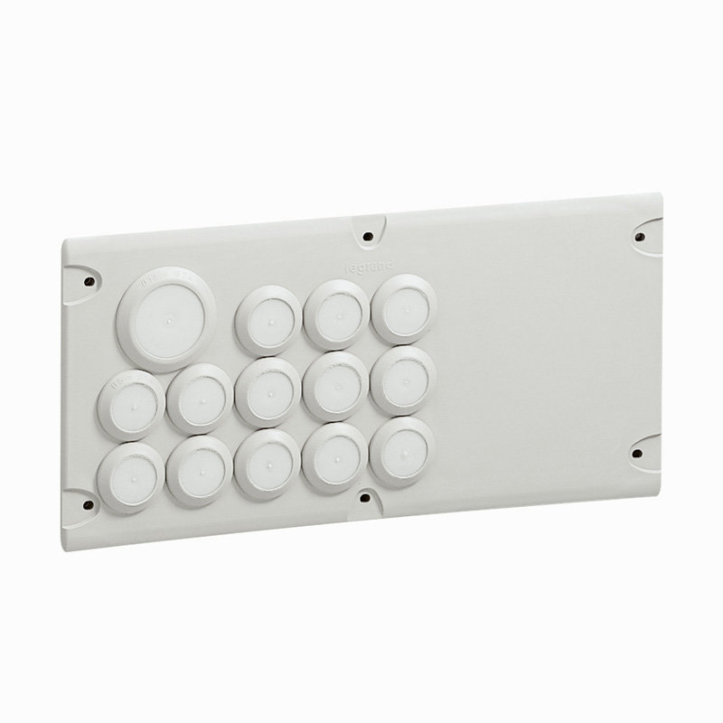 Legrand 036496 - Plaque Cabstop IP55 28 entrées Ø5mm-Ø14mm et 2 sorties Ø14mm-Ø24mm - 1 réserve