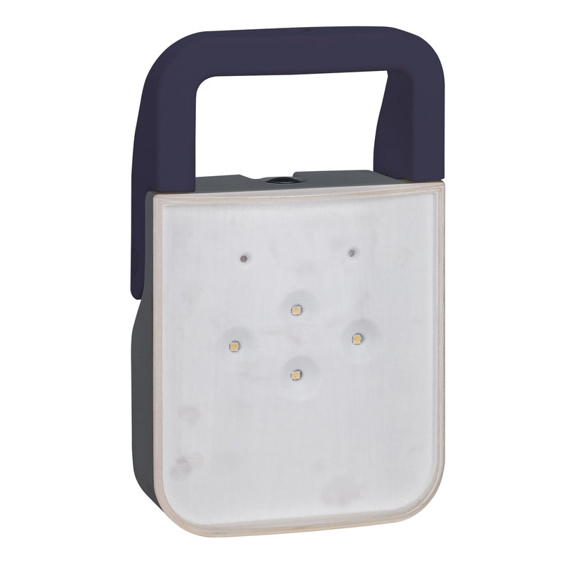 Legrand 060894 - Lampe BAPI à LEDs 100 lm IP55 IK08 - 1,8W avec batteries Ni-Cd et 230V - gris