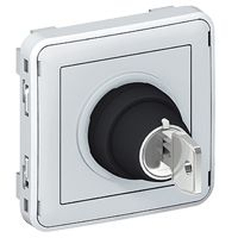 Legrand 069535 - Interrupteur à clé Ronis n°455 3 positions Plexo composable IP55 3A 250V - gris