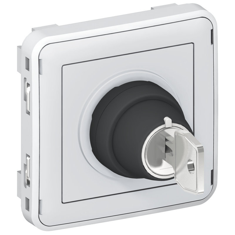 Legrand 069534 - Interrupteur à clé Ronis n°455 2 positions Plexo composable IP55 3A 250V - gris