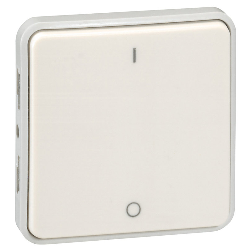 Legrand 069627 - Interrupteur bipolaire étanche Plexo composable IP55 10AX 250V - blanc