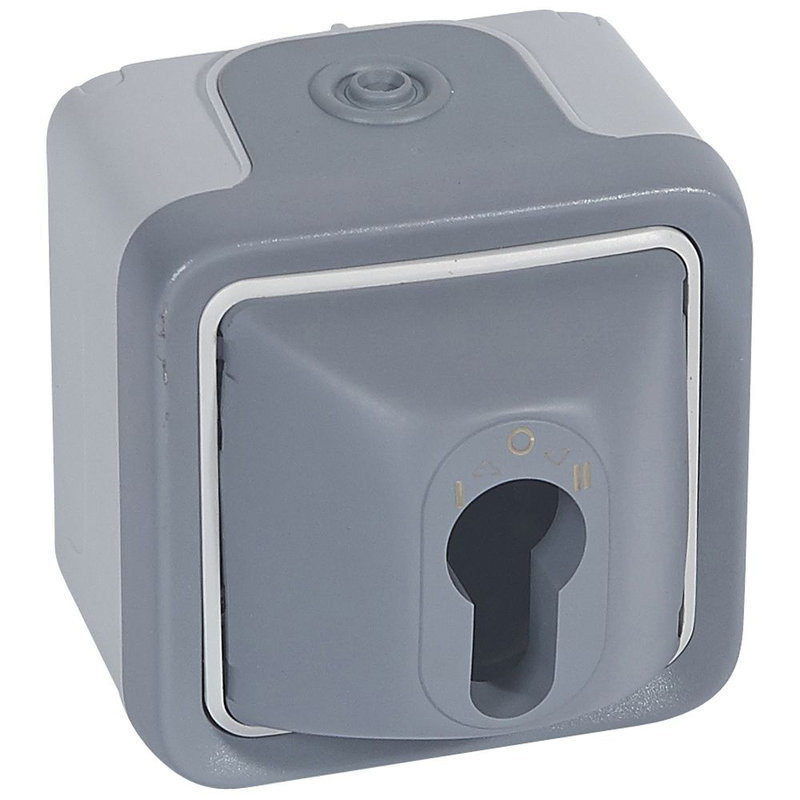 Legrand 069706 - Interrupteur à clé Plexo complet IP55 saillie pour barillet européen - gris