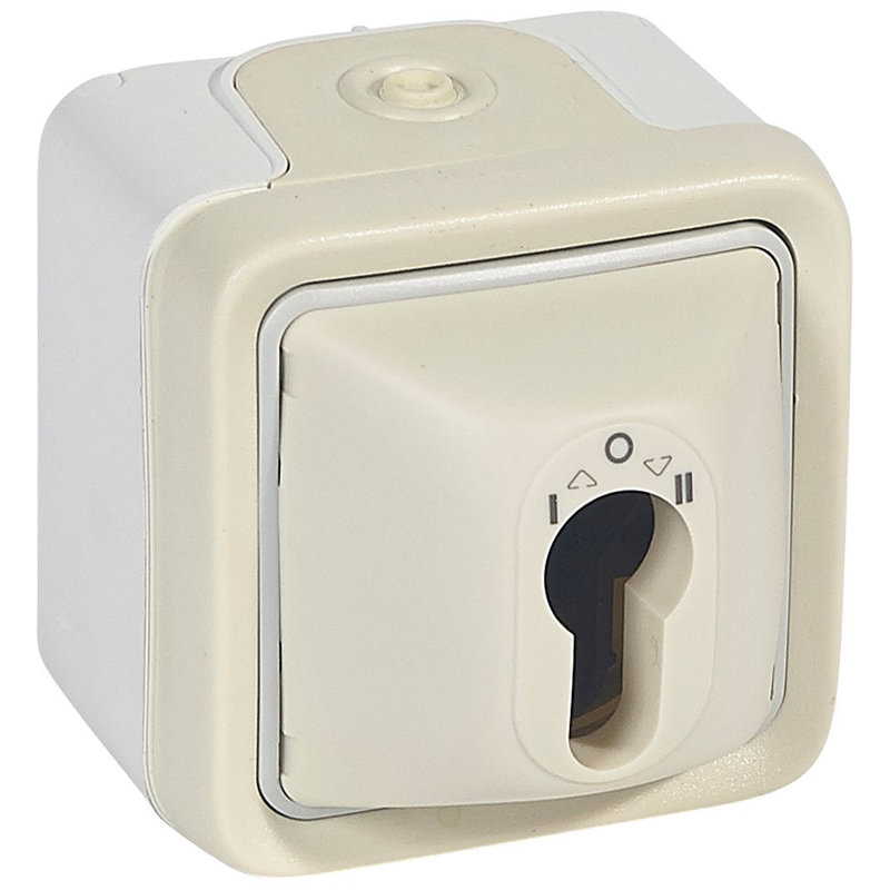 Legrand 069757 - Interrupteur à clé Plexo complet IP55 saillie pour barillet européen - blanc