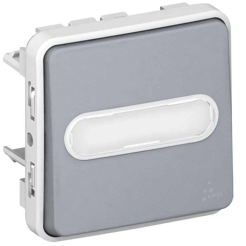 Legrand 069930 - Poussoir porte-étiquette lumineux (voyant fourni) Plexo - Gris