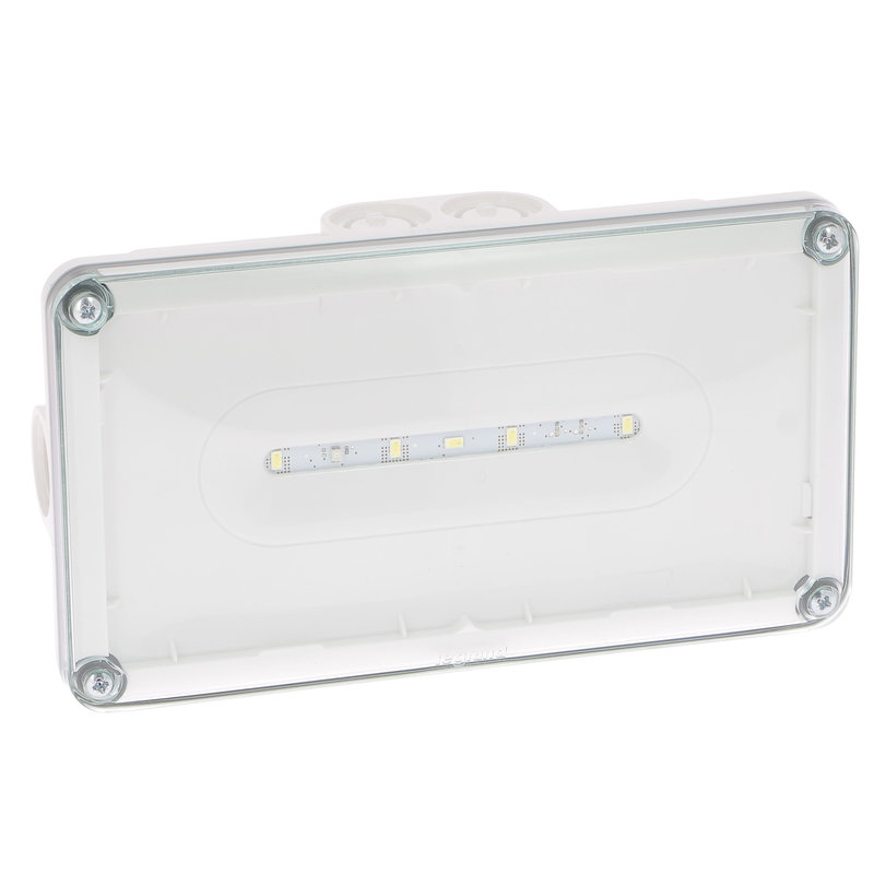 Legrand 062566 - BAES d'ambiance saillie à LEDs 400lm plastique IP66 IK10 SATI Connecté
