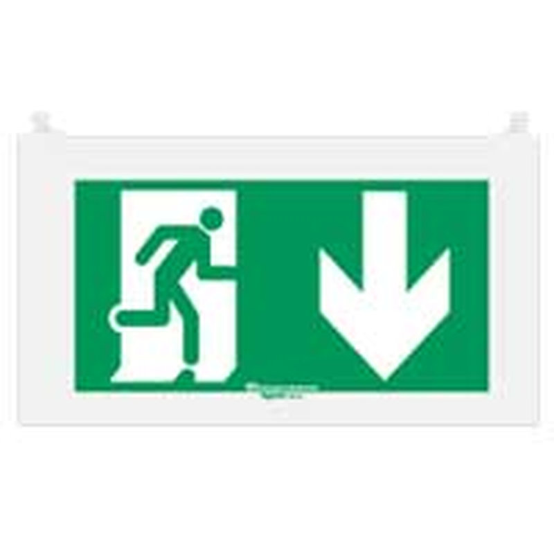Legrand 062583 - Plaque signalisation réglementaire Arcor - picto sortie en dessous