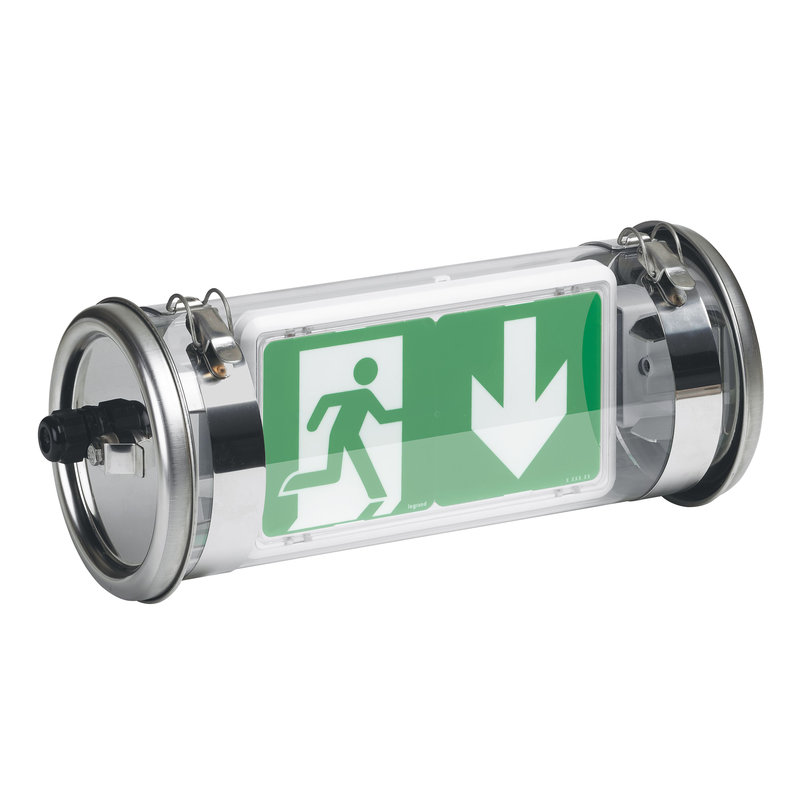 Legrand 062629 - BAES d'évacuation saillie LEDs 45lm 1h plastique/inox IP67 IK07 SATI Adressable