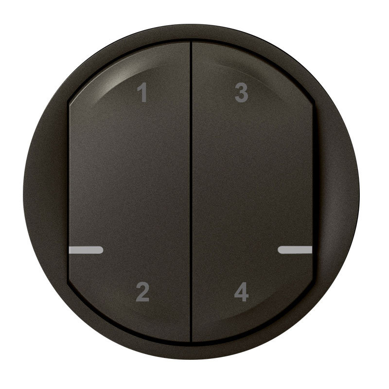 Legrand 064818 - Enjoliveur Céliane with Netatmo pour commande sans fil 4 scénarios - graphite