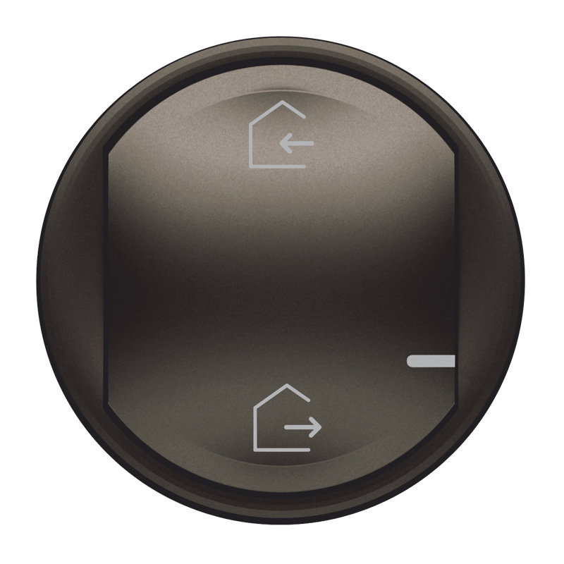 Legrand 064832 - Enjoliveur Céliane with Netatmo cde générale sans fils Départ/Arrivée - graphite