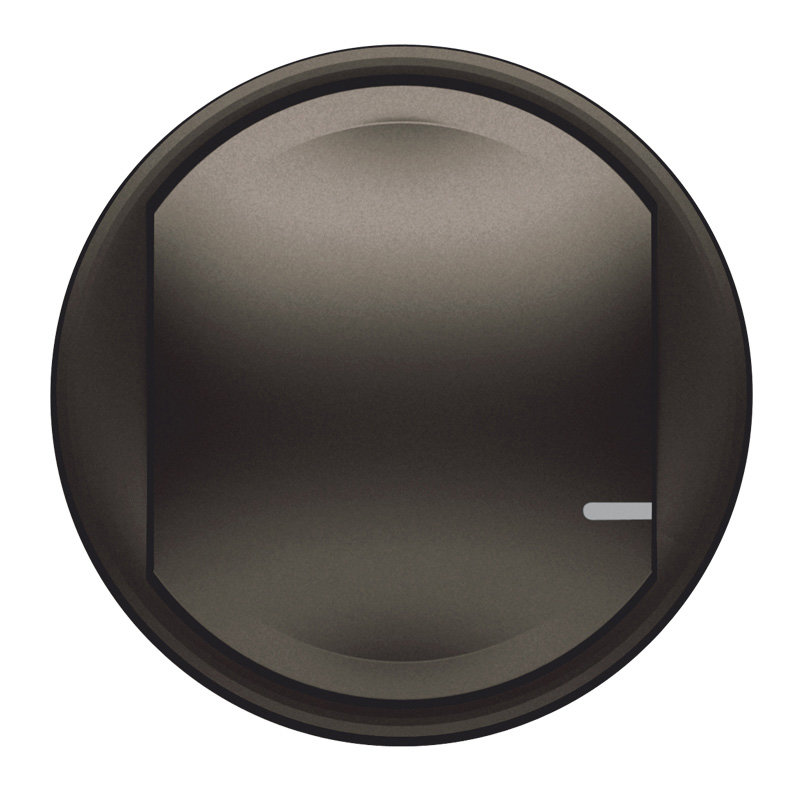 Legrand 064835 - Enjoliveur Céliane with Netatmo interrupteur connecté/cde sans fil -graphite
