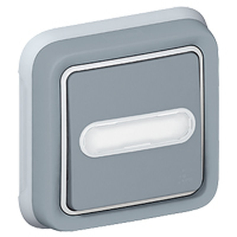 Legrand 069824 - Poussoir inverseur étanche lumineux porte-étiquette Plexo IP55 encastré - gris