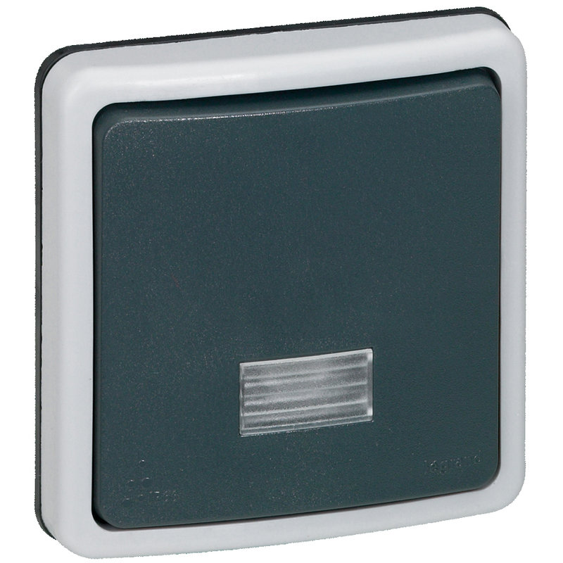 Legrand 090484 - Interrupteur ou va-et-vient bipolaire à voyant 10A Plexo IP66 composable - gris