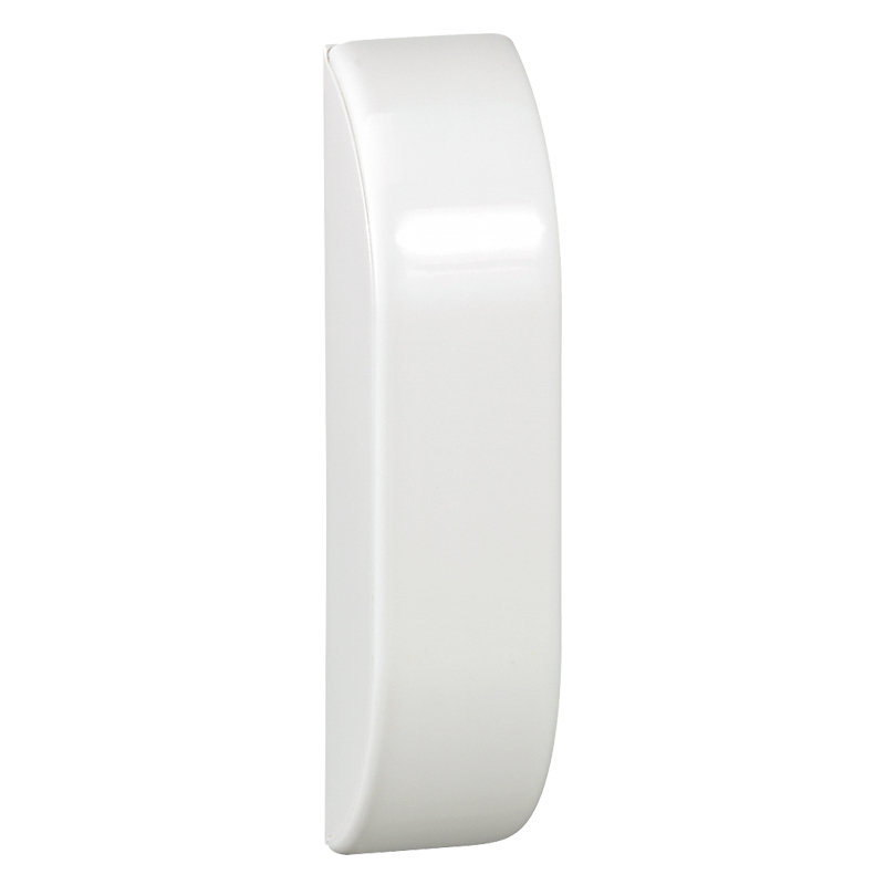 Legrand 098224 - Embouts (x 2) pour plinthe section 80x20mm