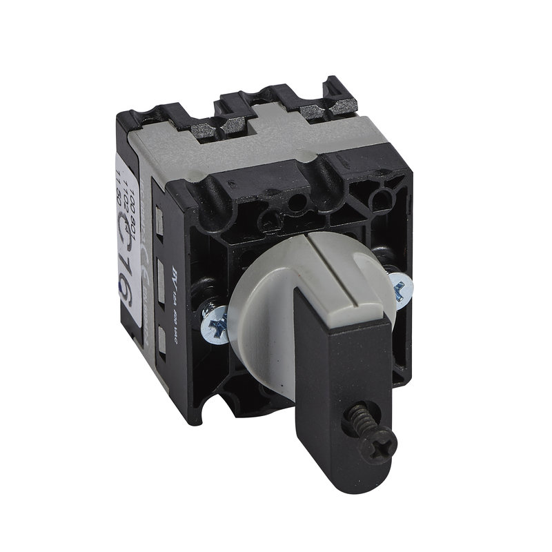Legrand 100801 - Commutateur - PR12 - 1102 A4 IP55 EQ48PND