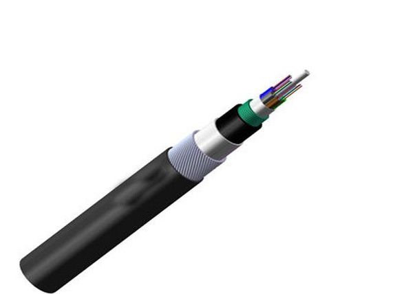 [CAB-FO12] Câble Fibre Optique 24 Brins Os2 - Couronne De 100M