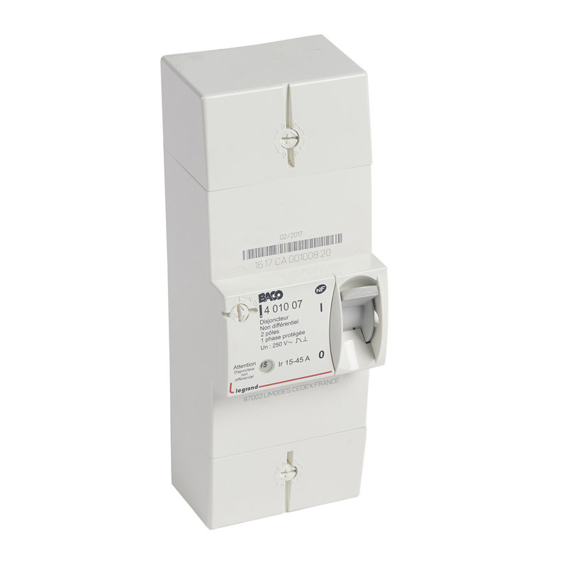 Legrand 401007 - Disjoncteur de branchement Enedis bipolaire non différentiel - 45A