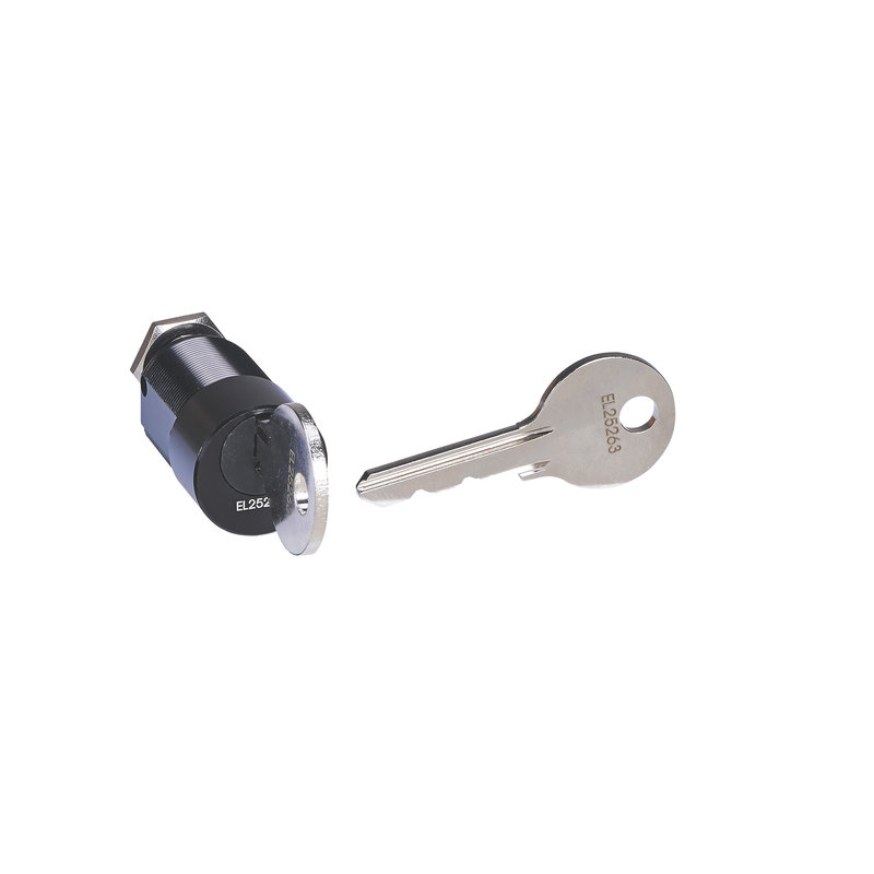 Legrand 423880 - Barillet à clé et clé plate marquage aléatoire pour DPX³HP débro et commande
