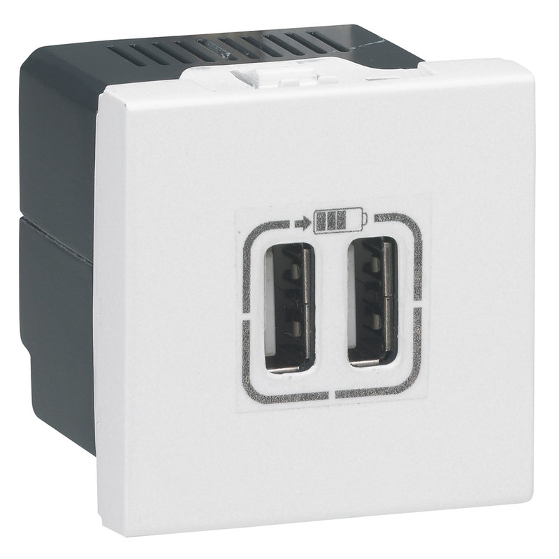 Legrand 572078 - ARTEOR CHARGEUR 2 MODULES 2 USB A+A 2.4A 12 W BLANC