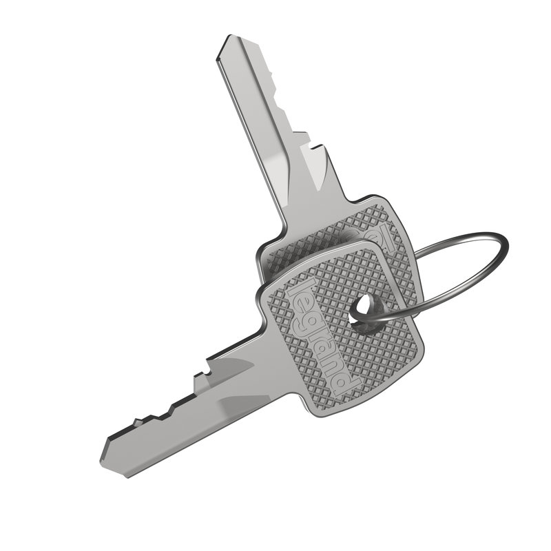 Legrand 036545 - Jeu de 2 clés n°2433A pour coffret Atlantic et Marina