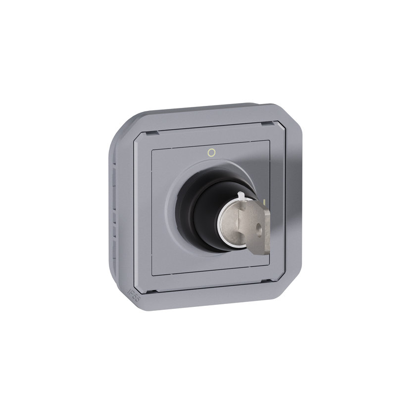 Legrand 069534L - Interrupteur à clé Ronis 2 positions Plexo composable gris