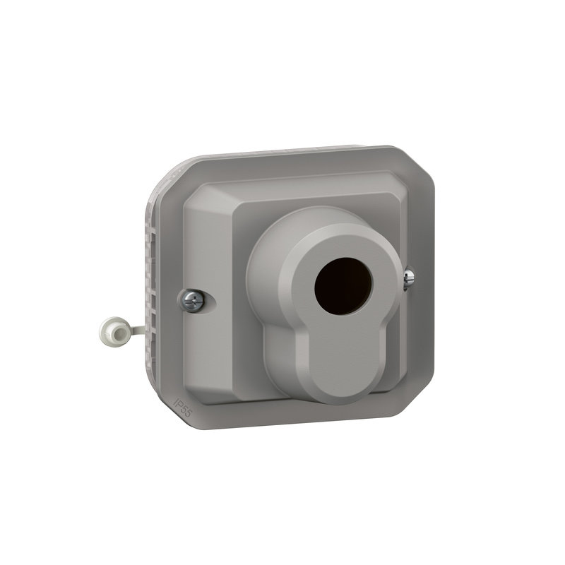 Legrand 069705L - Poussoir à clé accès sécurisé 3 positions Plexo composable gris