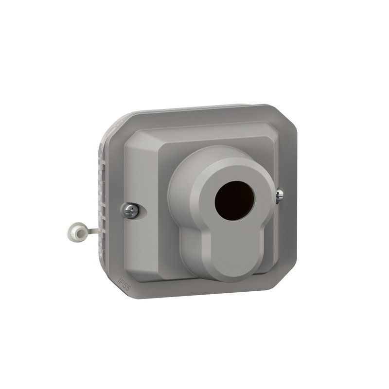 Legrand 069706L - Interrupteur à clé accès sécurisé 2 positions Plexo composable gris