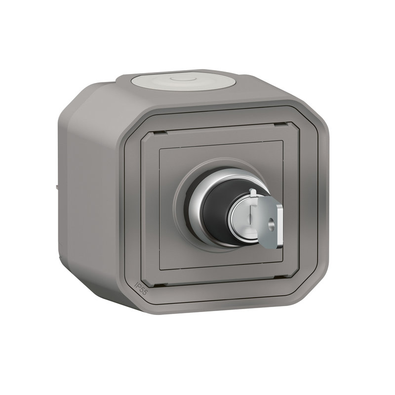 Legrand 069738L - Commande réarmement pour désenfumage Plexo complet saillie