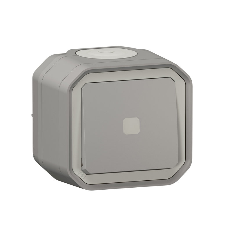 Legrand 070008 - Interrupteur temporisé lumineux Plexo complet saiilie - gris