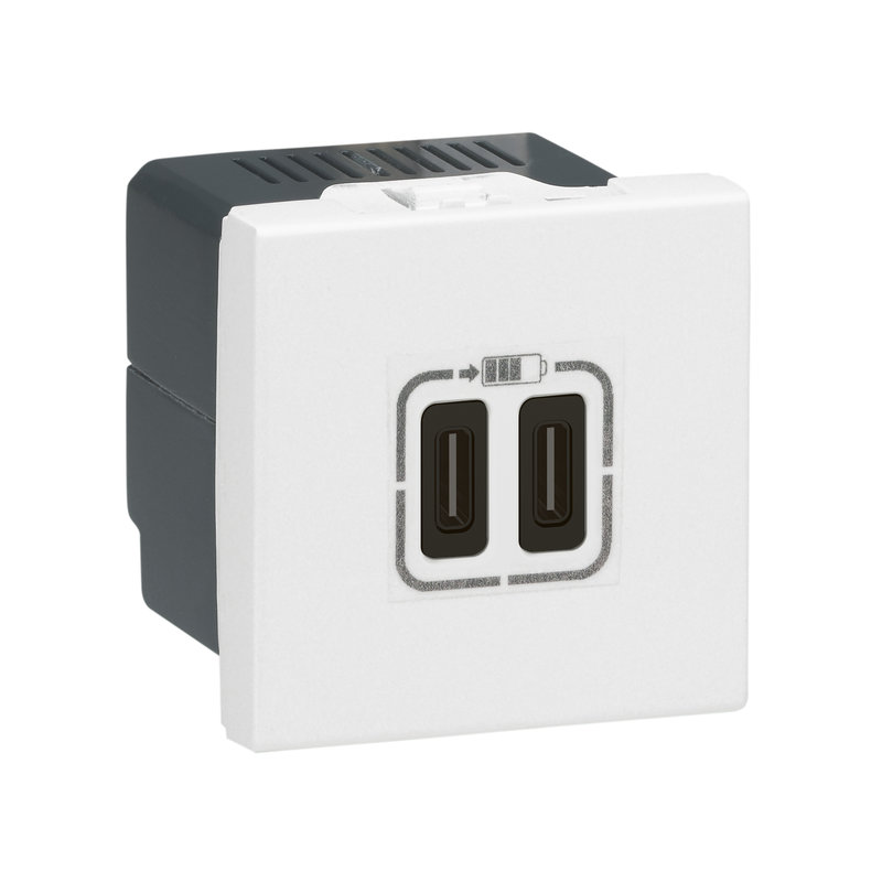 Legrand 077590 - Prises 2 USB Type-C 3A 5V= 15W Mosaic 2 modules 230V - blanc