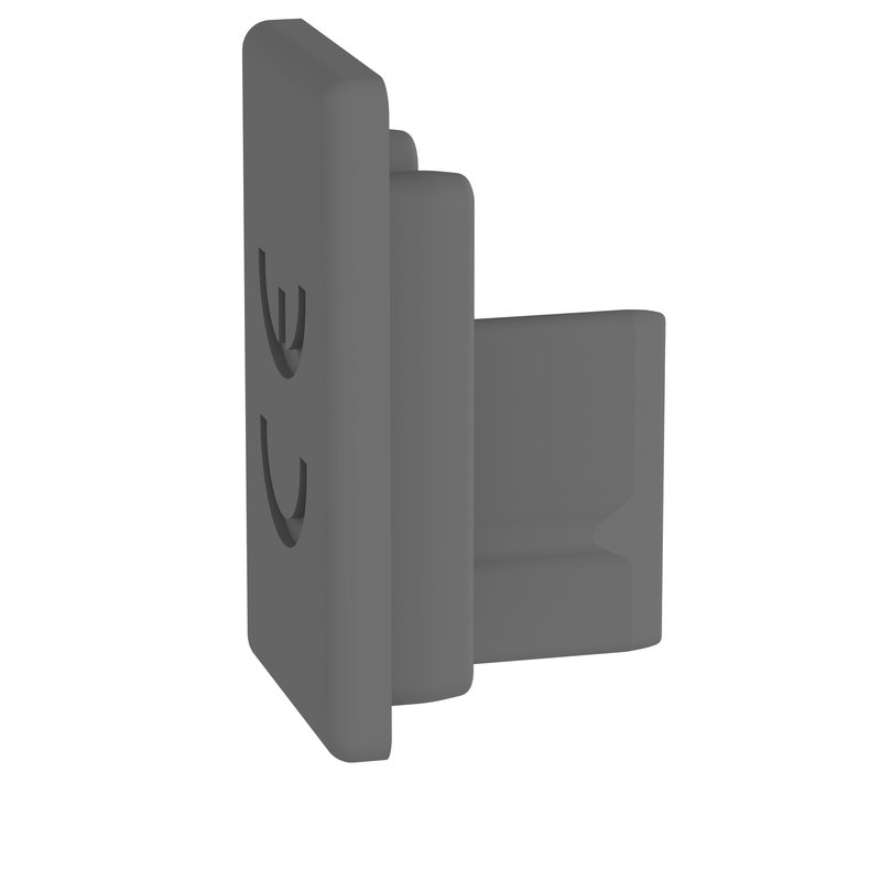 Legrand 404972 - Embouts pour peignes 2P longueur 1 mètre références 404947/59
