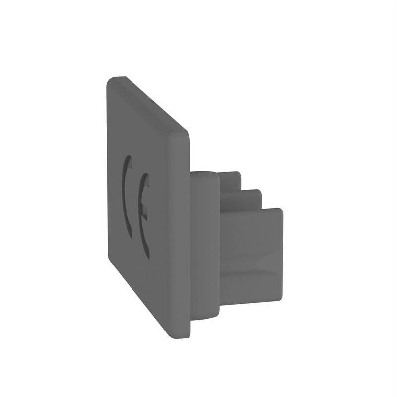 Legrand 404973 - Embouts pour peignes references 404948/53/54/60/61/49/69