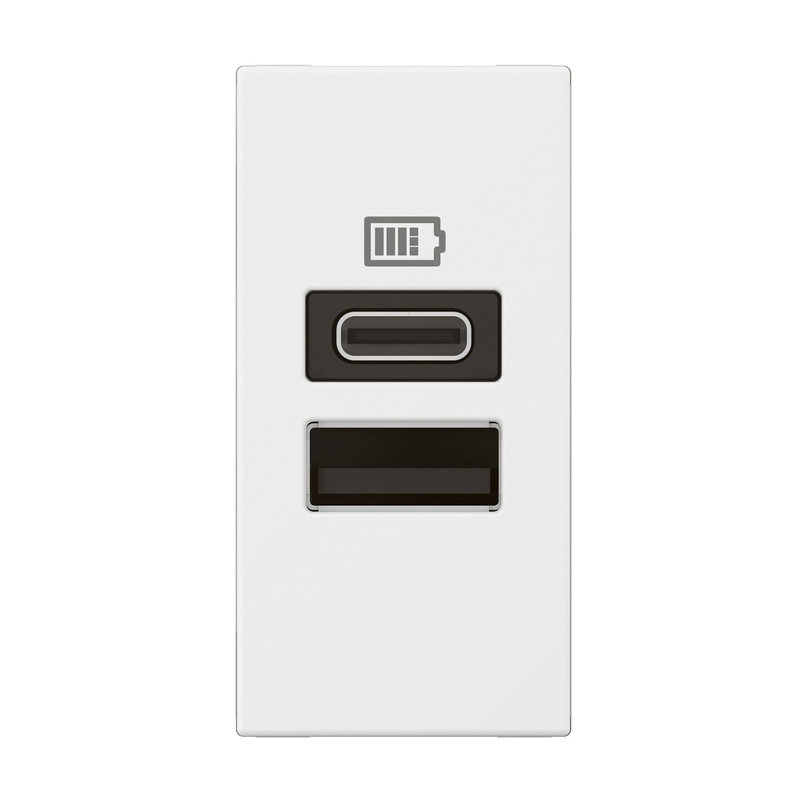 Legrand 571688 - CHARGEUR 1 MODULE 2 PRISES USB TYPE A ET TYPE C 15W BLANC