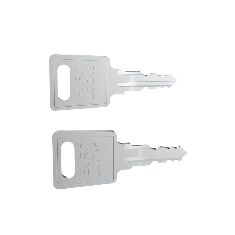 Legrand 981079 - Set de 2 clés code FH167 pour porte et panneaux latéraux baie Linkeo RAL7016