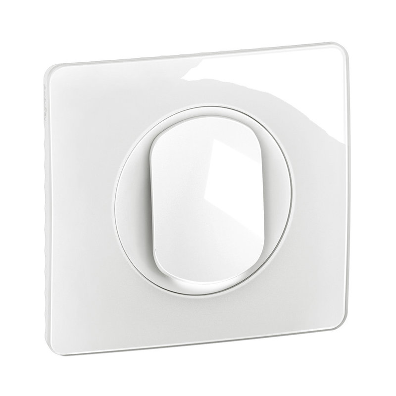 [LEG-CG1001] Legrand CG1001 - Interrupteur lumineux Céliane 10AX complet Blanc