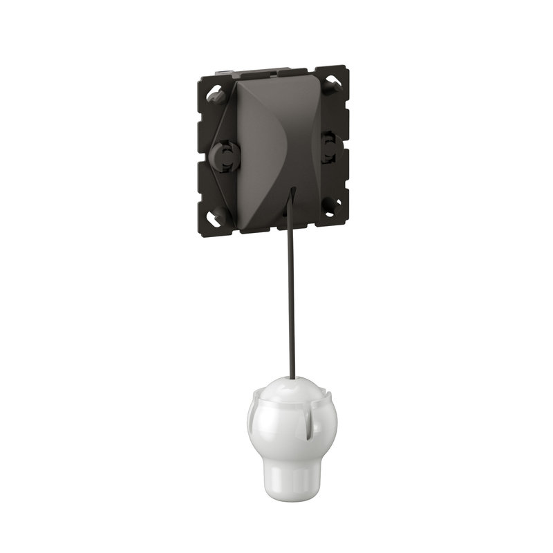 Legrand CM0008 - Interrupteur ou va-et-vient à tirage Céliane