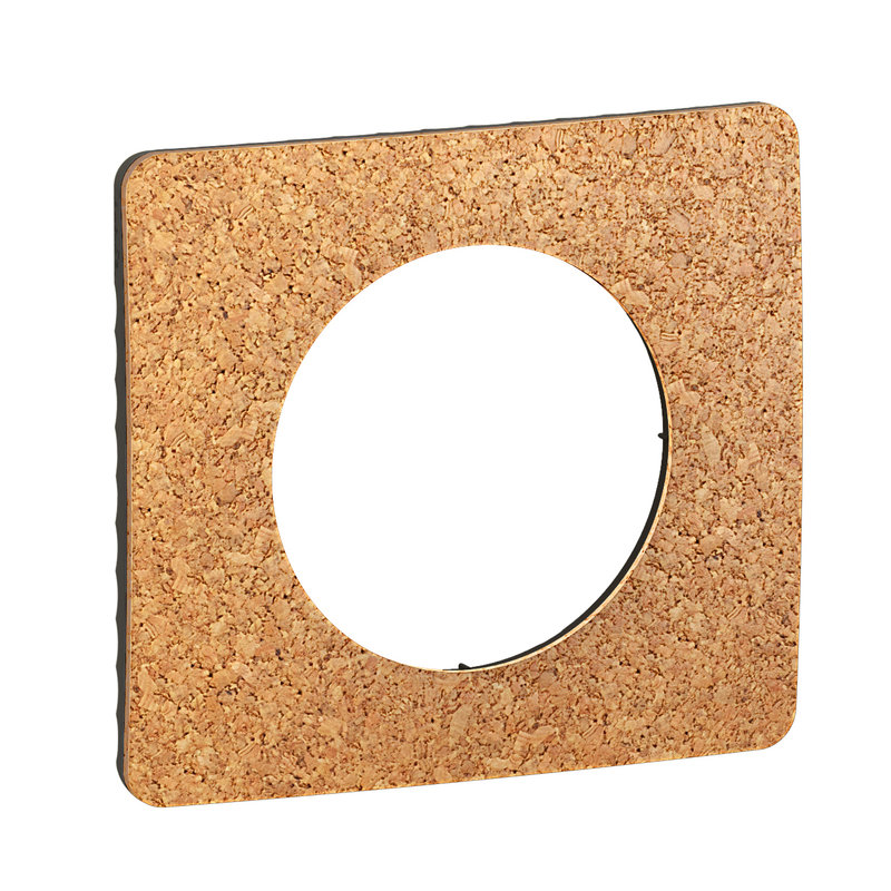 Legrand CP1301 - Plaque de finition Céliane 1 poste - Liège