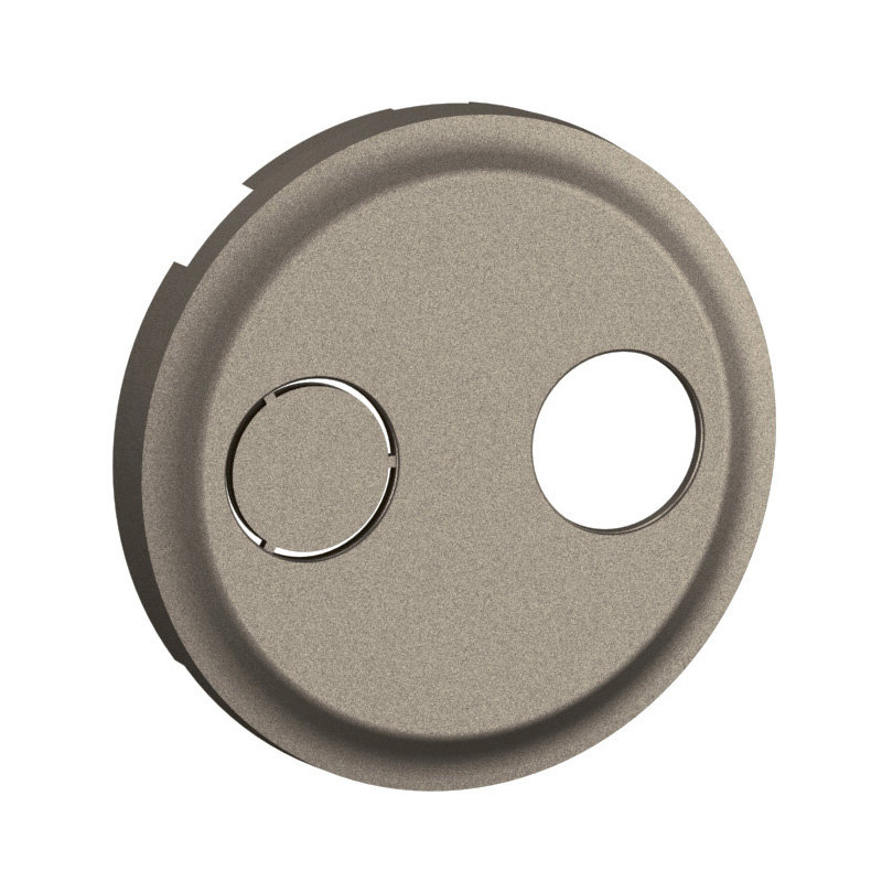 Legrand CT0399 - Enjoliveur prise réseau câblé AFORM - double F à visser Céliane - Titanium