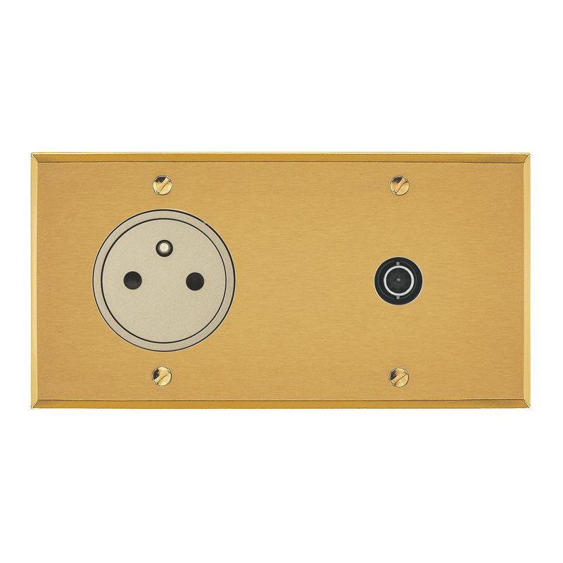 Legrand 67239 - Art d'Arnould univers Mémoire prise 2P+T 16A 250V + prise TV simple - or brossé