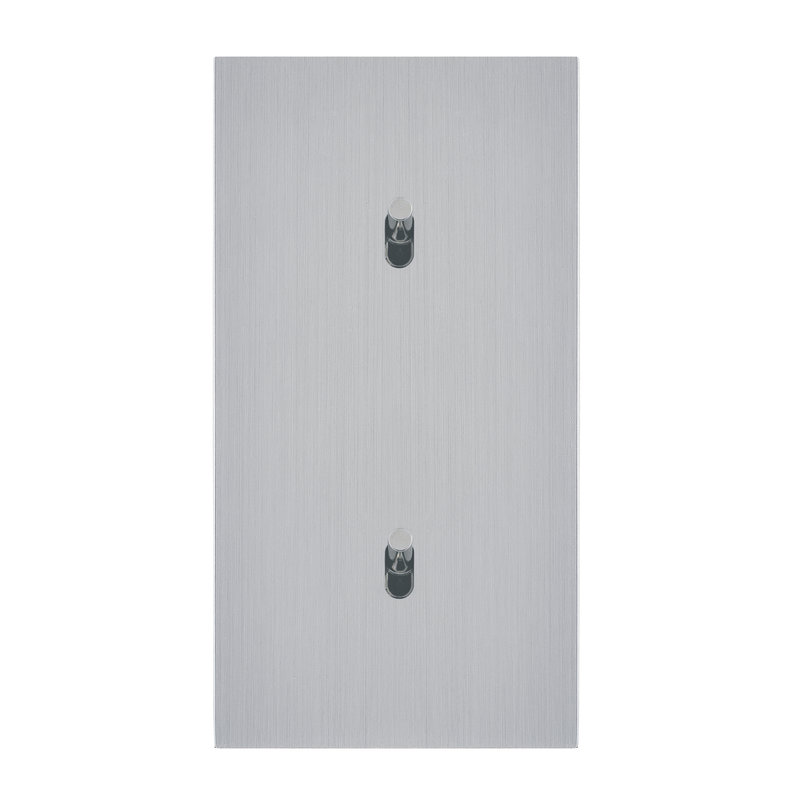 Legrand 67404 - Art d'Arnould univers Epure deux va-et-vient ou interrupteur - acier brossé