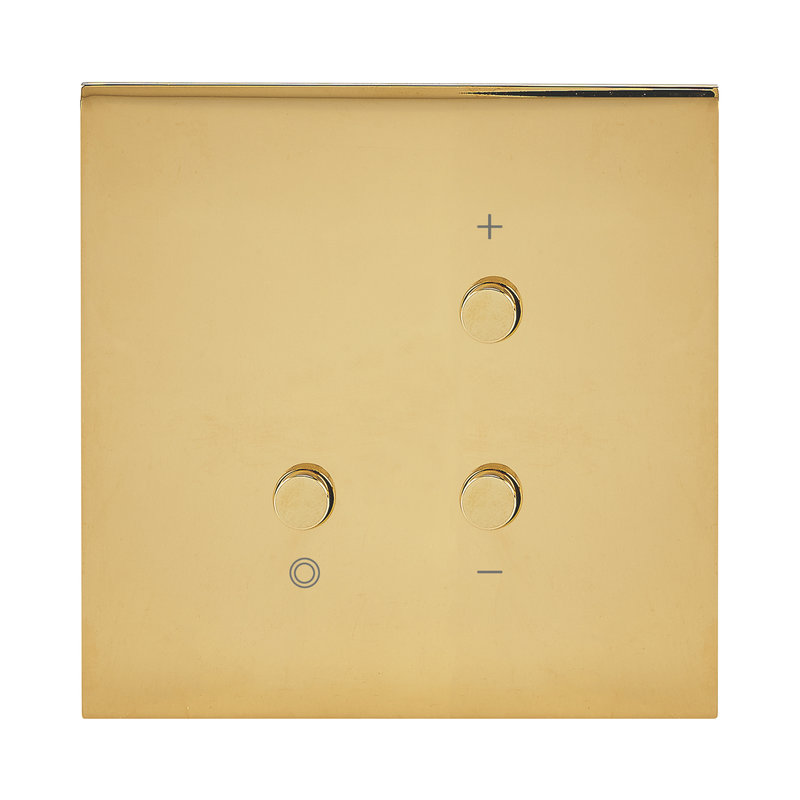 Legrand 67719 - Art d'Arnould univers Epure variateur toutes lampes 2fils sans neutre -or miroir
