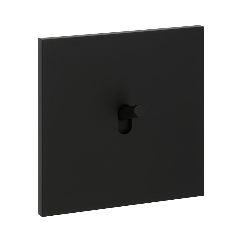 Legrand 67815 - Art d'Arnould univers Epure poussoir 6A - noir mat
