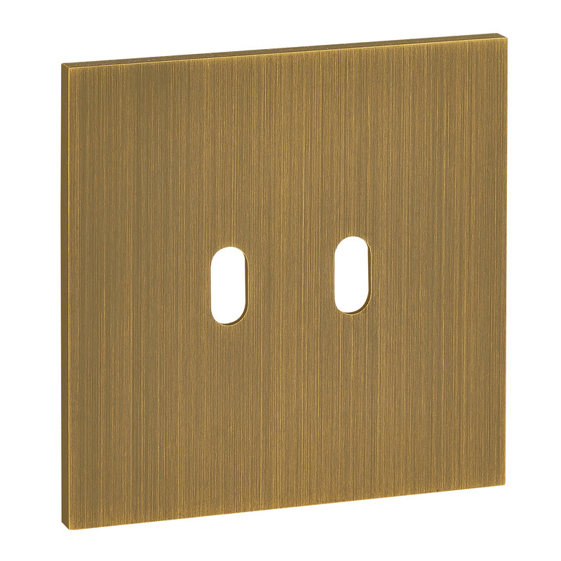 Legrand ARP67302 - Art d'Arnould univers Epure plaque de finition 2 leviers - Bronze