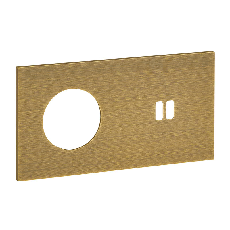 Legrand ARP67316 - Art d'Arnould univers Epure plaque de finition 2P+T + USB - Bronze